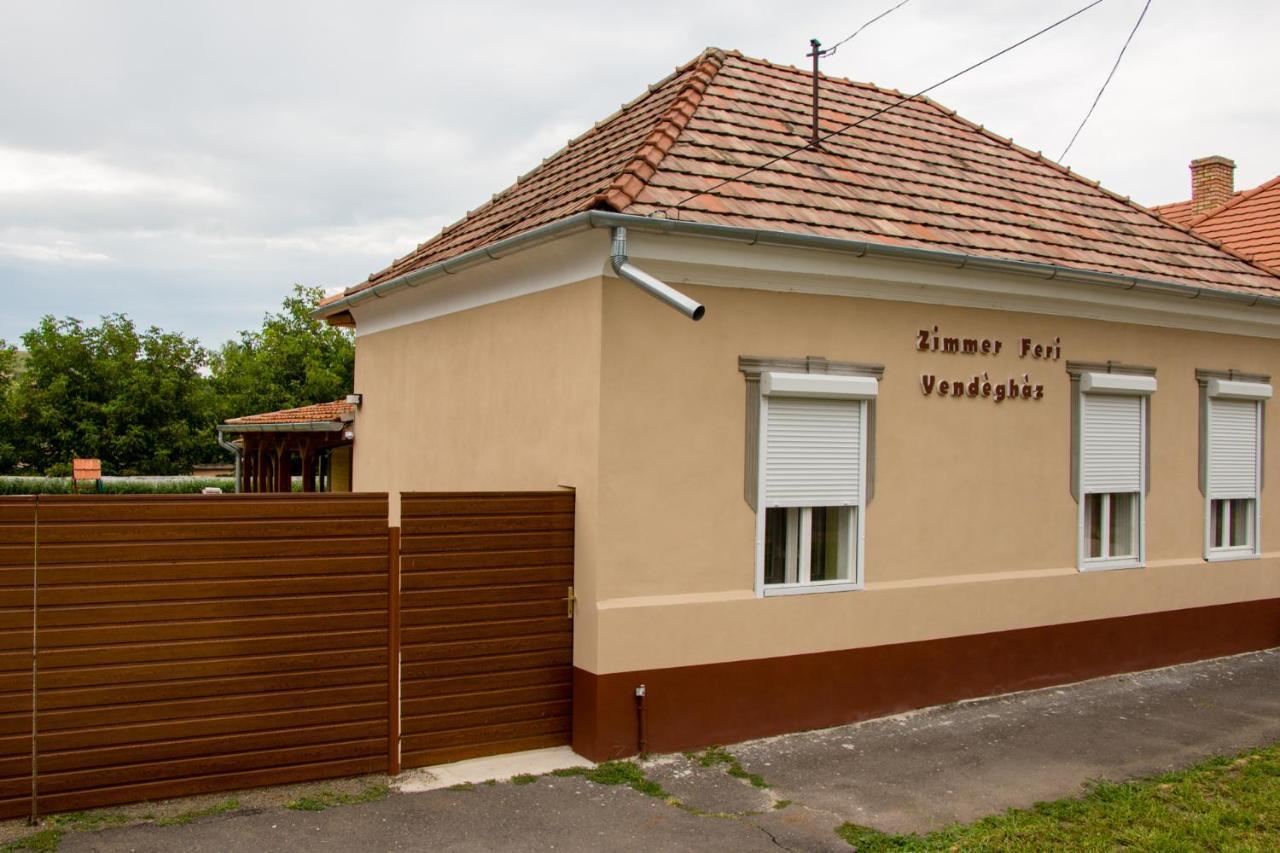 Zimmer Feri Vendeghaz Otel Abaújszántó Dış mekan fotoğraf