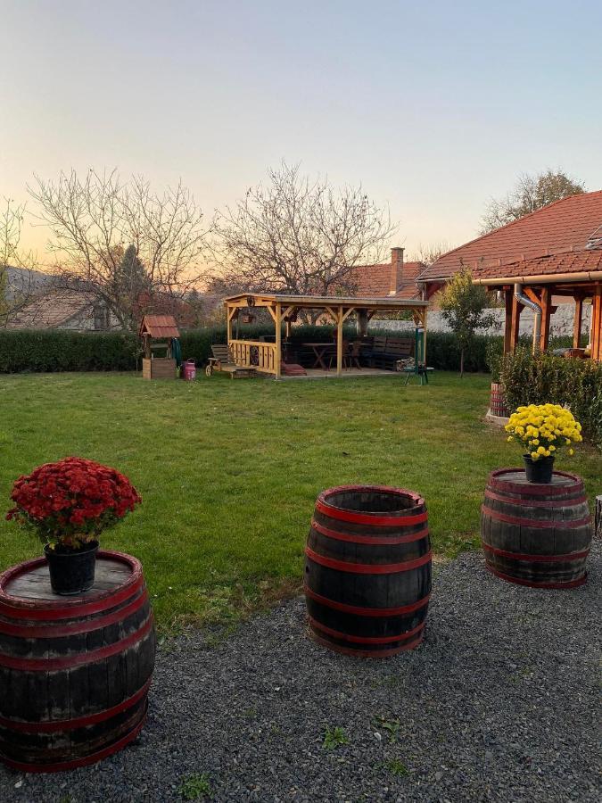Zimmer Feri Vendeghaz Otel Abaújszántó Dış mekan fotoğraf