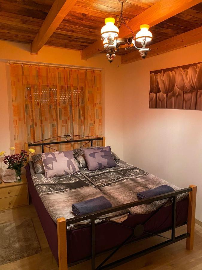 Zimmer Feri Vendeghaz Otel Abaújszántó Dış mekan fotoğraf